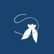 白花八草美白ライン