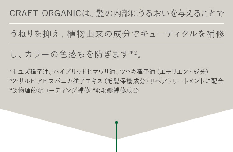 植物由来の成分でキューティクルを補修し、カラーの色落ちを防ぎます*2。