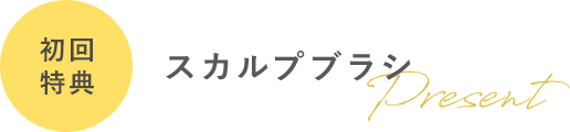 初回特典 スカルプブラシ