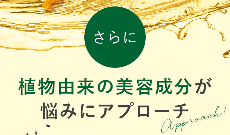 植物由来の美容成分が悩みにアプローチ