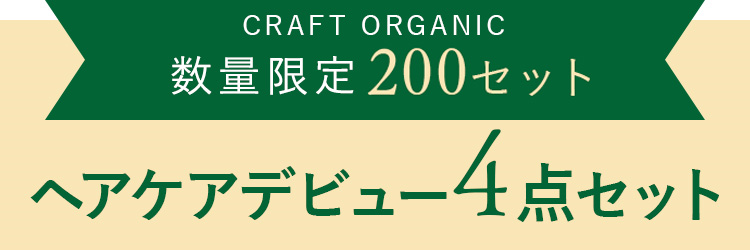 お得な定期便4点セット