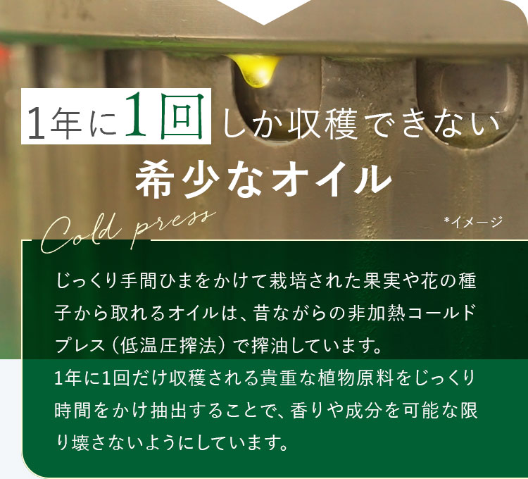 1年に1回しか収穫できない希少なオイル