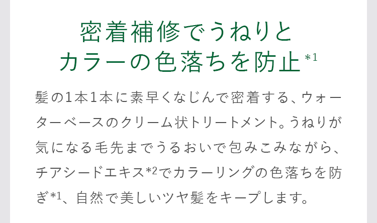 密着補修でうねりとカラーの色落ちを防止＊1