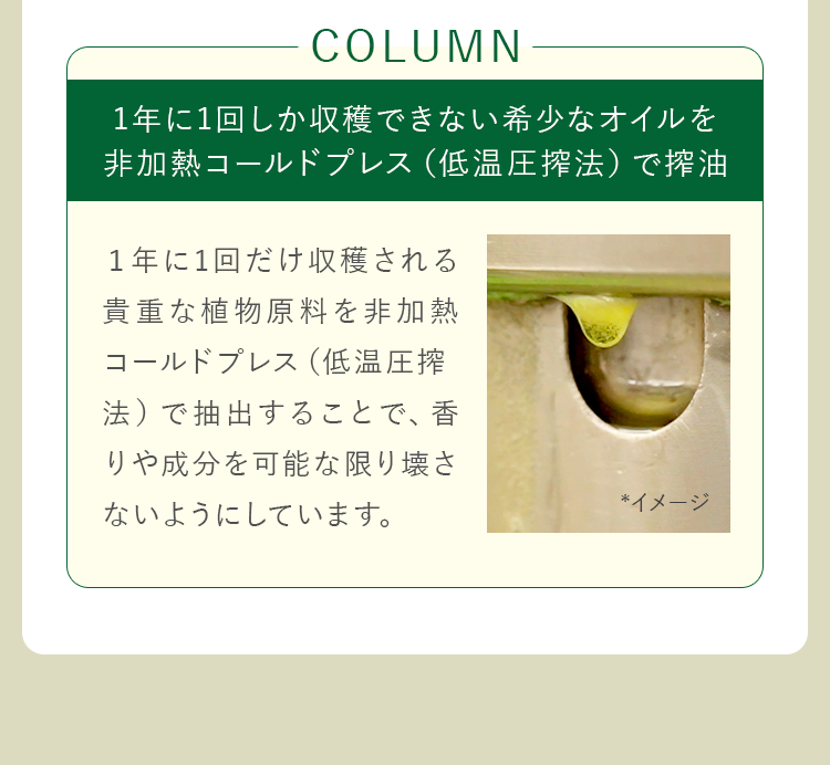 1年に1回しか収穫できない希少なオイルを非加熱コールドプレス（低温圧搾法）で搾油