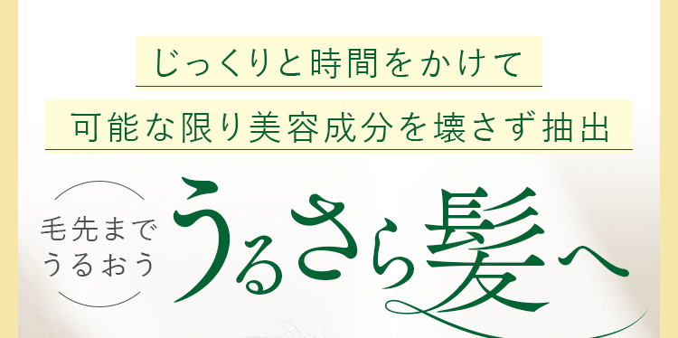 カラーリングを繰り返した髪は、ダメージが蓄積し、カラーの維持が難しくなることも。