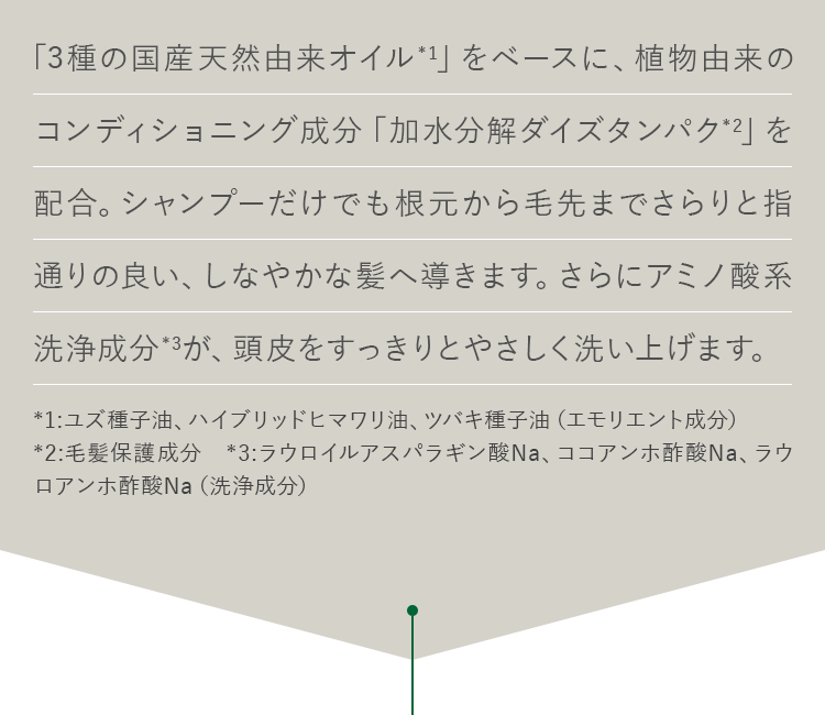 さらにアミノ酸系洗浄成分*3が、頭皮をすっきりとやさしく洗い上げます。