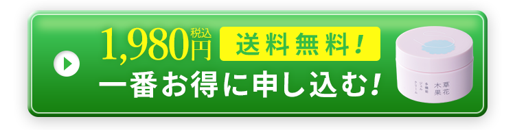 一番お得に申し込む！