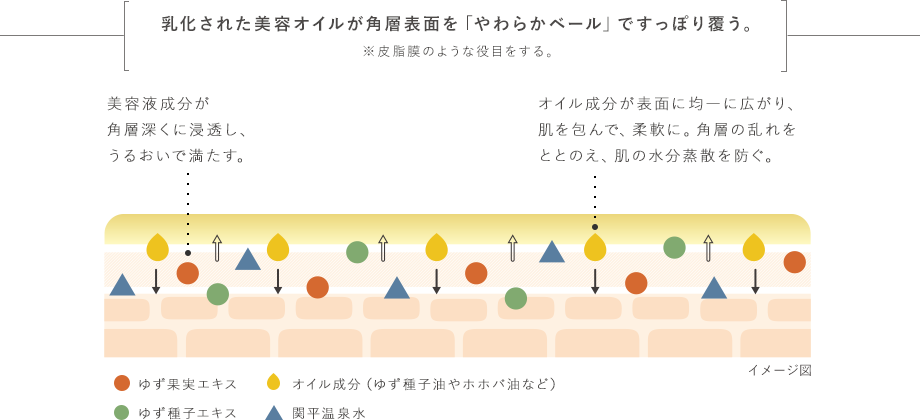 乳化された美容オイルが角質表面を「やわらかベール」ですっぽり覆う。