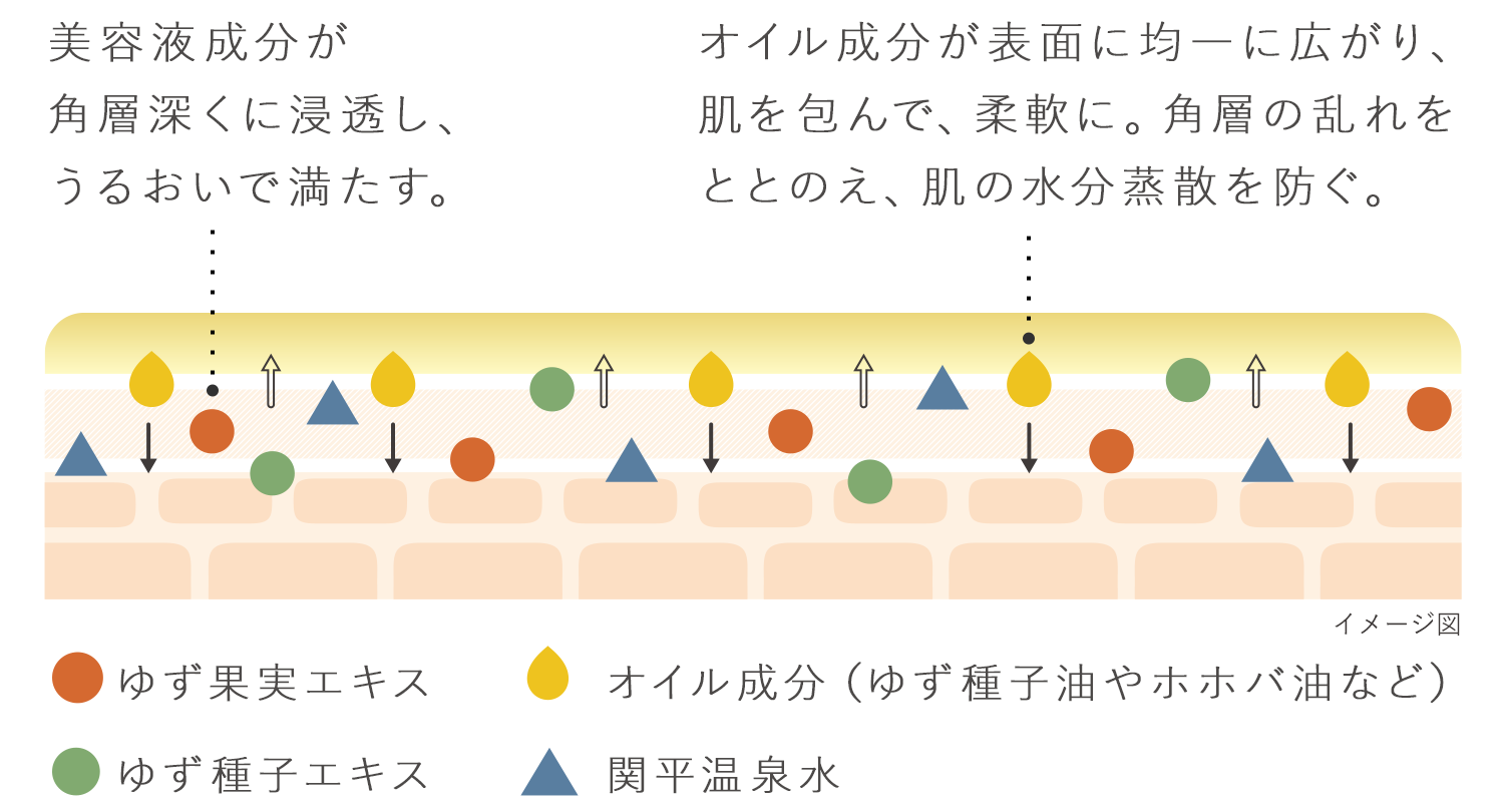 乳化された美容オイルが角質表面を「やわらかベール」ですっぽり覆う。