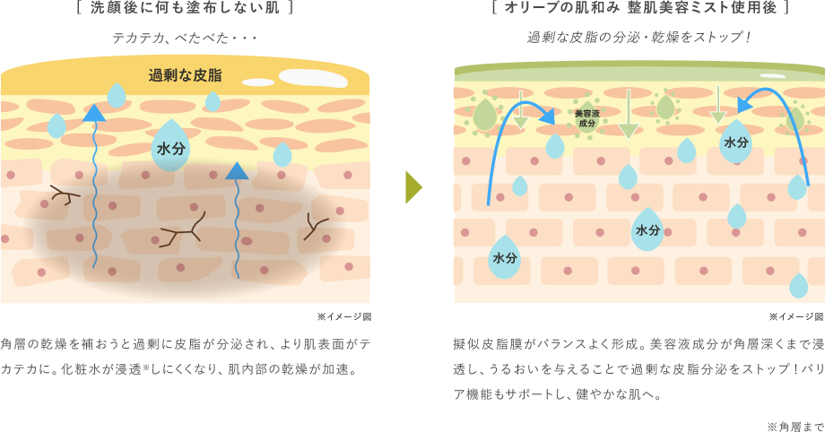 草花木果　オリーブの肌和み　整肌美容ミスト