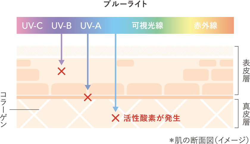スキンケアも叶う温泉水ベースのbbクリーム 化粧下地 素肌補整bb 草花木果 公式 自然派化粧品 スキンケアも叶う温泉水ベースのbbクリーム 化粧下地 素肌補整bb 草花木果 公式 自然派化粧品