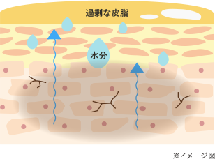 洗顔後に何も塗布しない肌 イメージ図