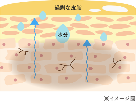 洗顔後に何も塗布しない肌 イメージ図