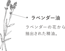 ラベンダー油-ラベンダーの花から抽出された精油。