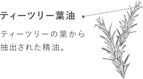 ティーツリー葉油-ティーツリーの葉から抽出された精油。