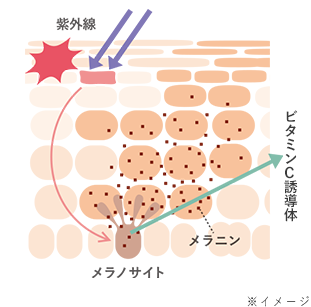 ビタミンC誘導体