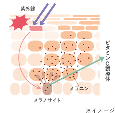 ビタミンC誘導体