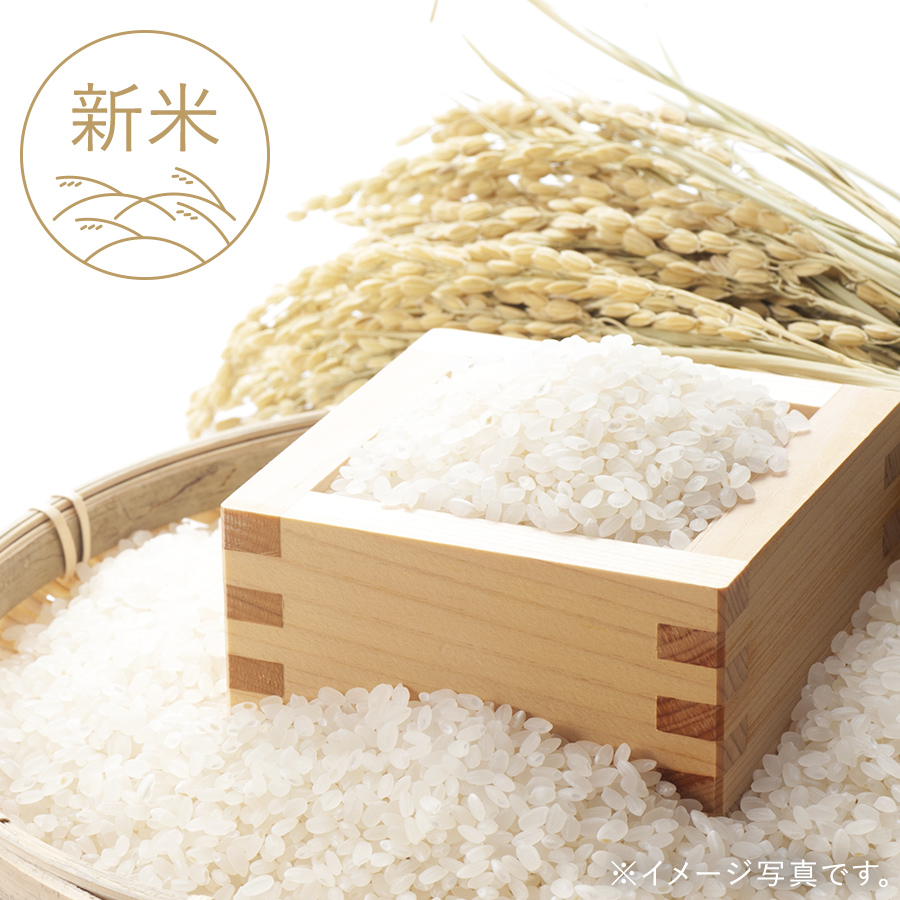 送料無料英語版 どくだみ姫様専用 白米10 3袋 Jblヒビノ正規品 食品 米 New Lazeeza Com