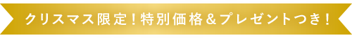 クリスマス限定！特別価格＆プレゼントつき！