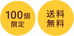 100個限定 送料無料