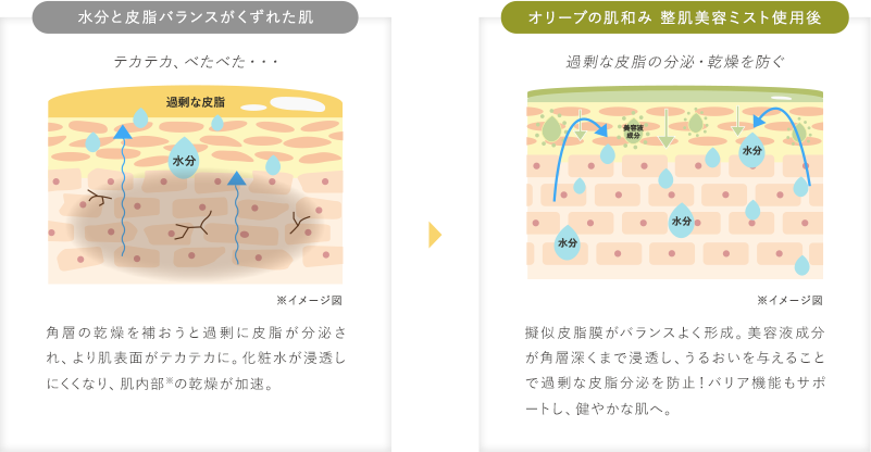 最適な水分と油分バランスで肌あれを防ぎ、健やかな肌へ