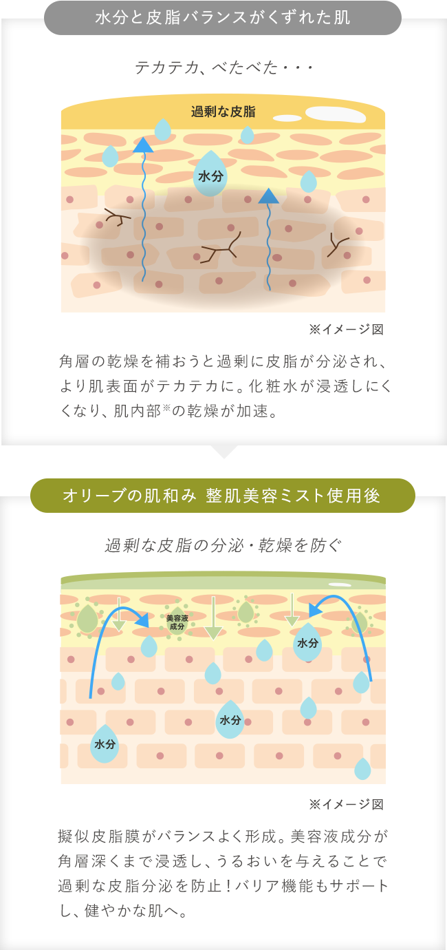 最適な水分と油分バランスで肌あれを防ぎ、健やかな肌へ