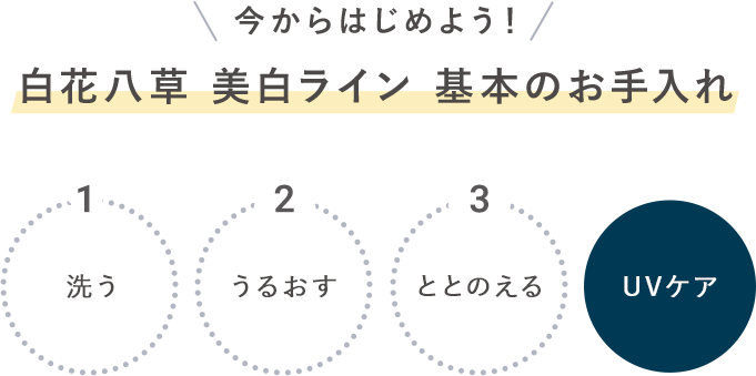 白花八草ライン 基本のお手入れ