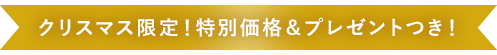 クリスマス限定！特別価格＆プレゼントつき！