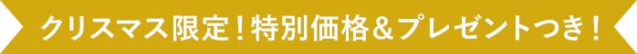 クリスマス限定！特別価格＆プレゼントつき！
