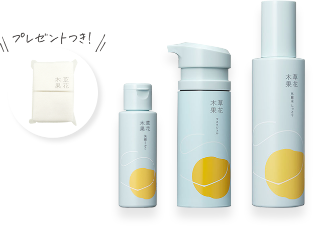 【限定】SUMMER SET（しっとり）
