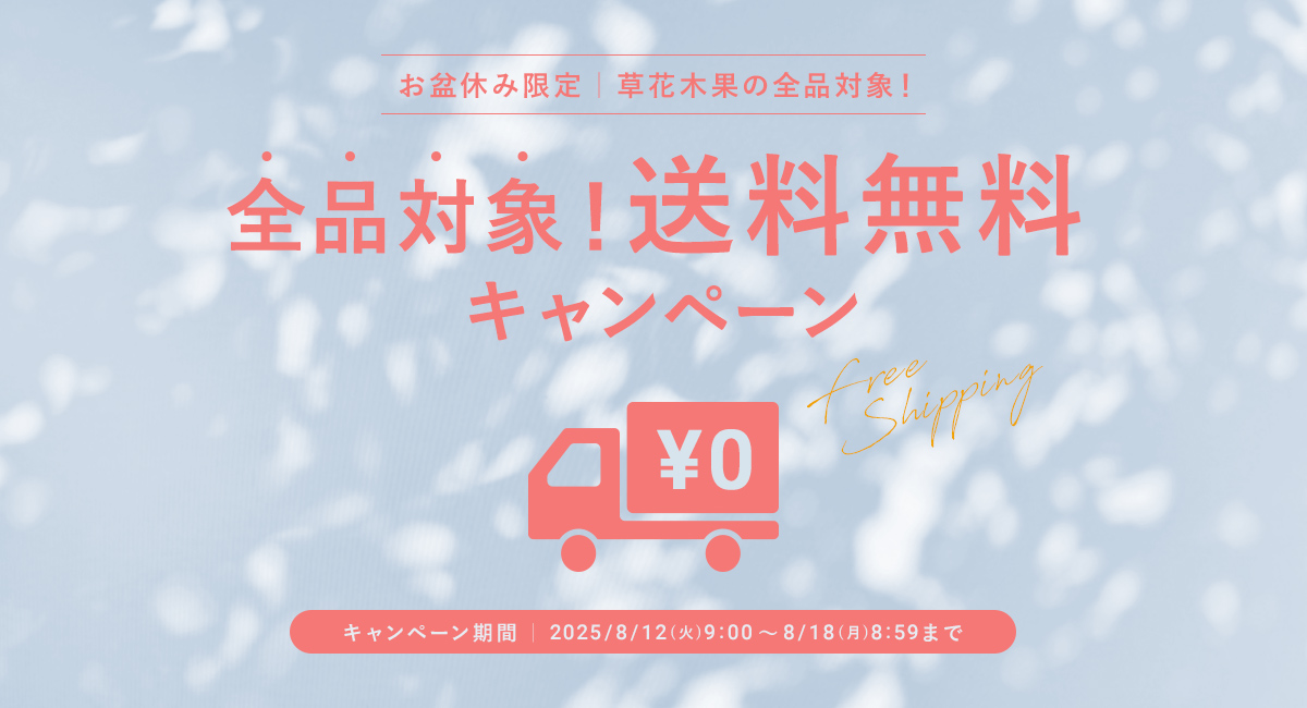 お盆休み限定　全品対象!送料無料
