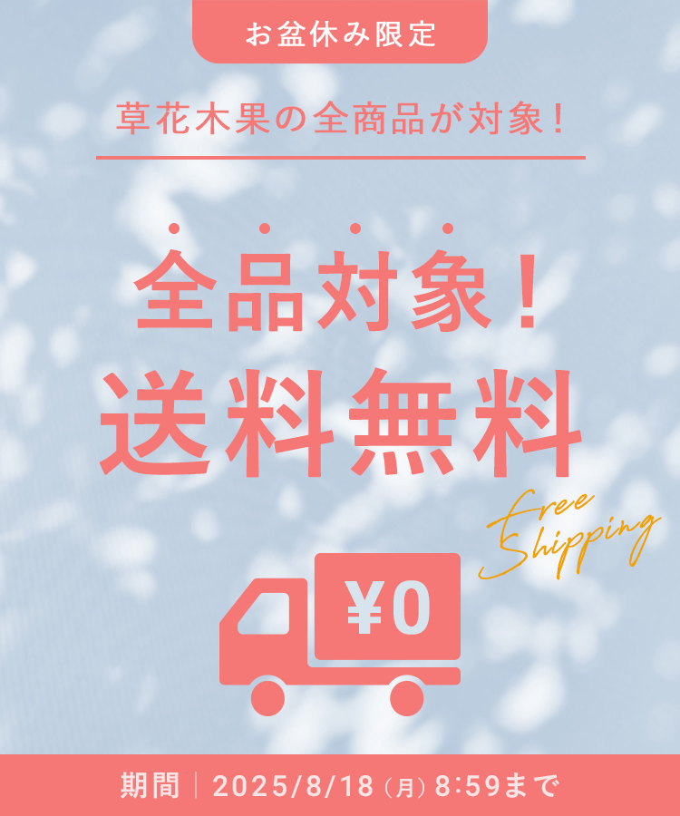 お盆休み限定　全品対象!送料無料