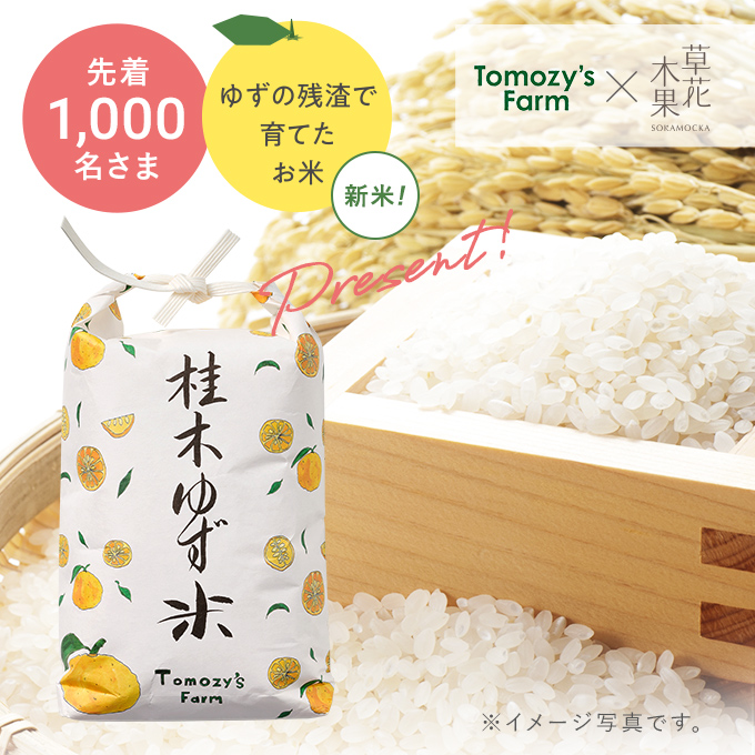桂木ゆず米（500g）
