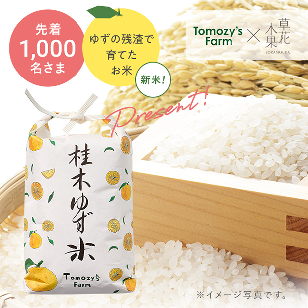 ＼先着1,000名さま／ 桂木ゆず米プレゼント！