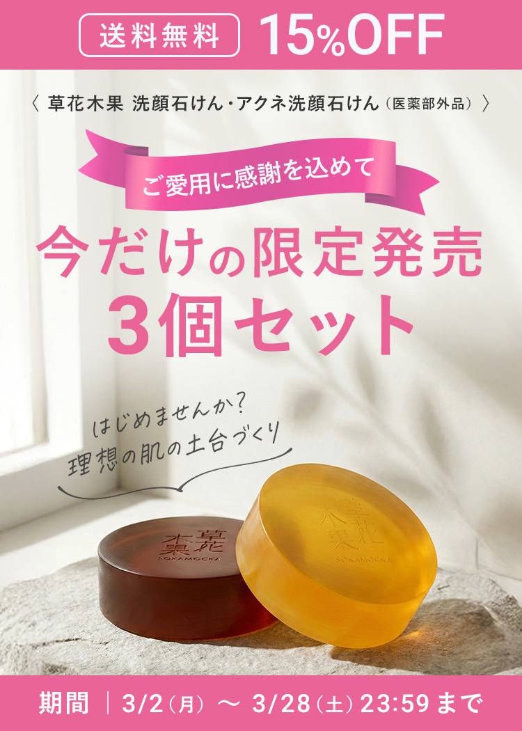 【送料無料 15%OFF】今だけの限定発売 3個セット