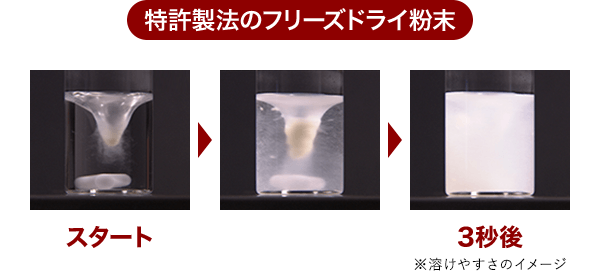 特許製法のフリーズドライ粉末