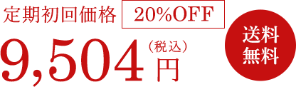 定期特価 9,504円