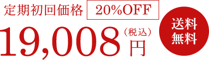 定期特価 19,008円