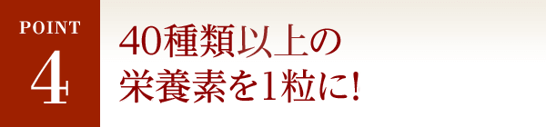 POINT4 40種類以上の栄養素を1粒に