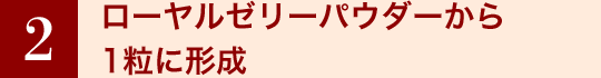 3 ローヤルゼリーパウダーから1粒に形成