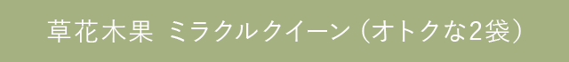 ミラクルクイーン〈90粒／約1カ月分〉