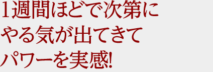 1週間ほどで次第にやる気が出てきてパワーを実感！