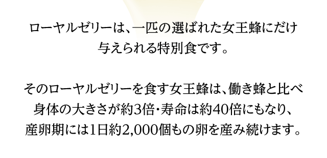 奇跡の恵みを余すことなく身体へ！