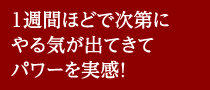 1週間ほどで次第にやる気が出てきてパワーを実感！