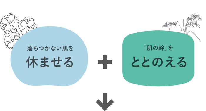 美しさがつづく しなやかな肌へ