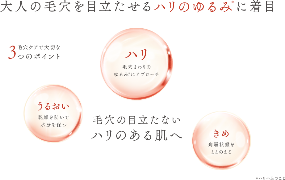 毛穴の目立たないハリのある肌へ