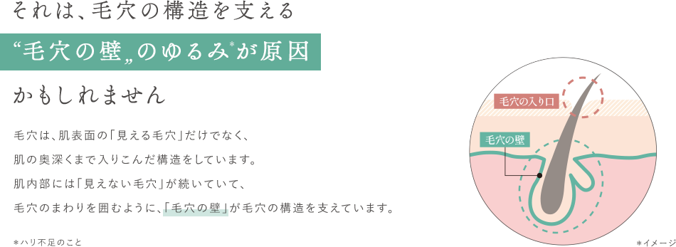 それは、毛穴の構造を支える 毛穴の壁 のゆるみが原因 かもしれません