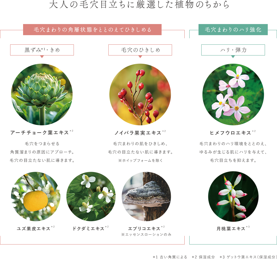 深刻化する大人の毛穴目立ちに厳選した植物のちから