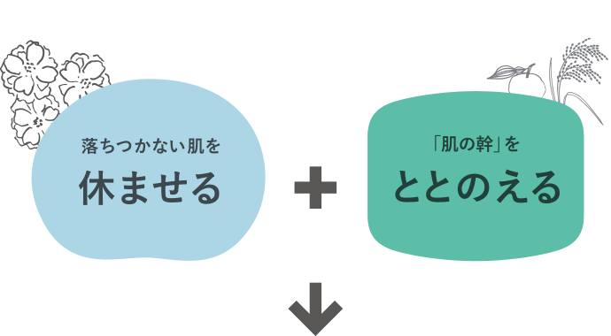 美しさがつづく しなやかな肌へ