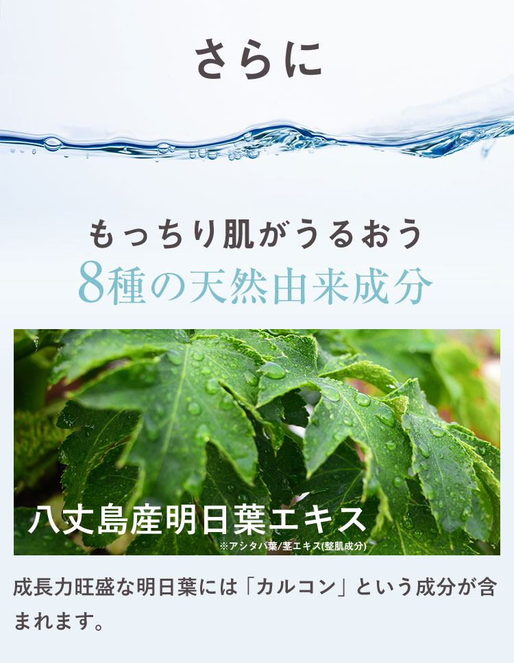 さらに もっちり肌がうるおう8種の天然由来成分 八丈島産明日葉エキス ※アシタバ葉/茎エキス(整肌成分) 成長力旺盛な明日葉には「カルコン」という成分が含まれます。